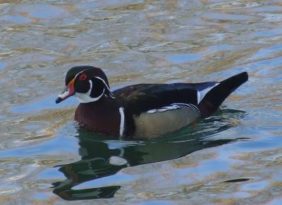 Прикрепленное изображение: 003.jpg